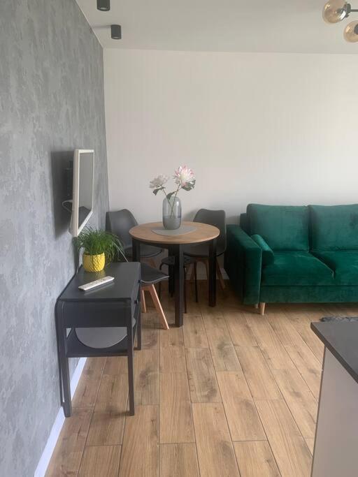 Uroczy Apartament W Centrum Sandomierza Сандомир Экстерьер фото